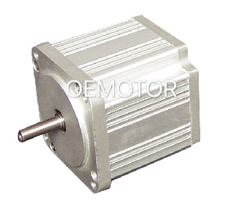 80mm Micro BLDC Motor